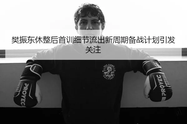 樊振东休整后首训细节流出新周期备战计划引发关注
